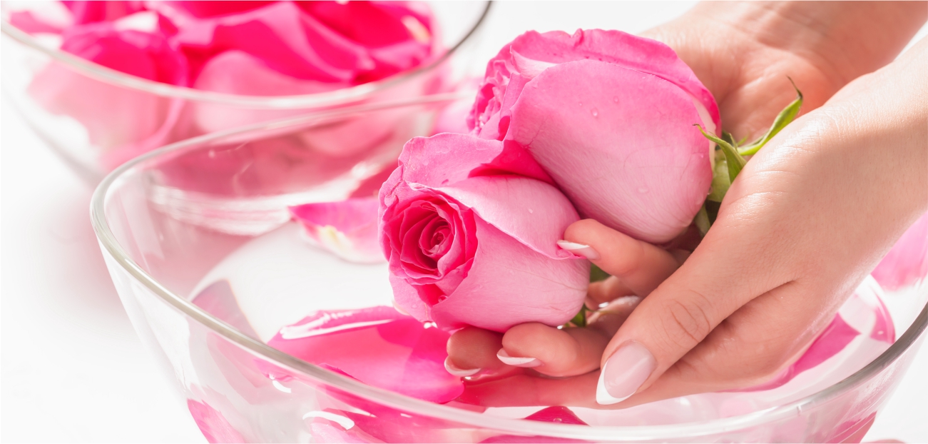Mains soignées tenant une rose rose vibrant au-dessus d'un bol en verre rempli de pétales de rose, évoquant le soin et la beauté naturelle.