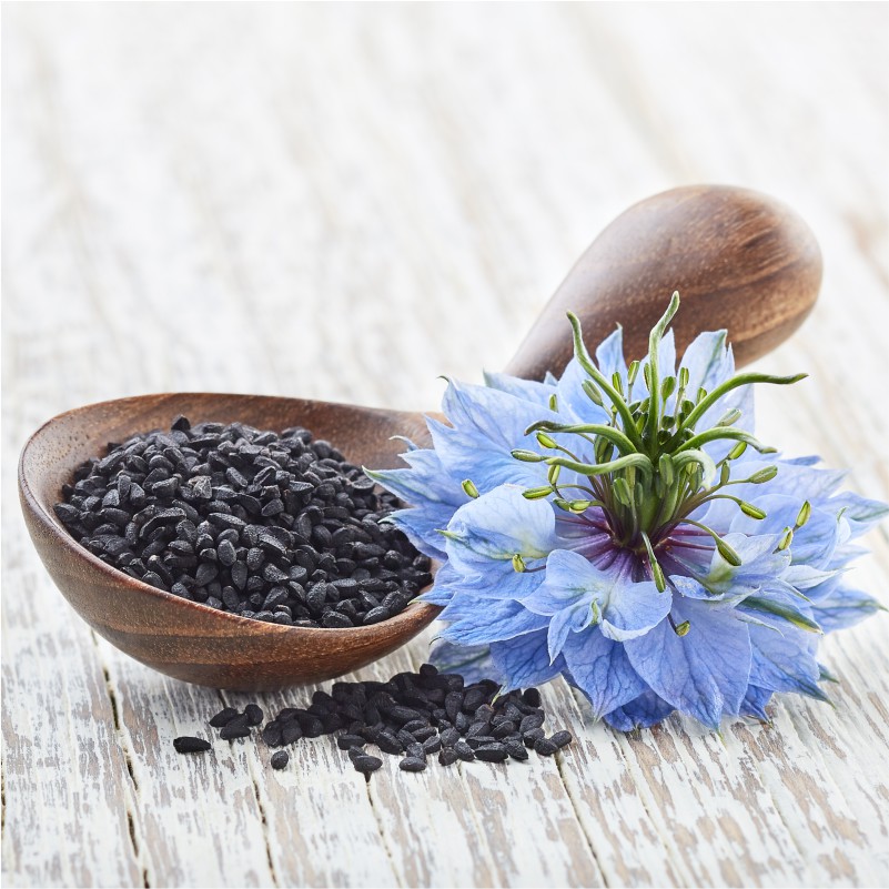 Graines de nigelle noires dans une cuillère en bois et une petite assiette en bois sur un fond en bois clair, accompagnées d'une fleur de nigelle bleue éclatante avec des pistils verts proéminents