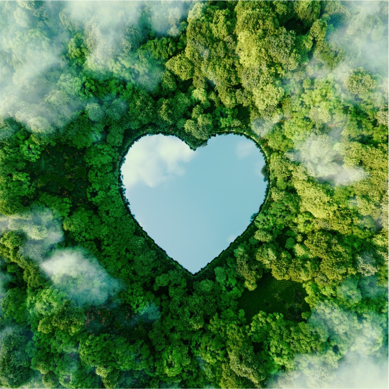 Vue aérienne d'une forêt tropicale, où le lac forme un coeur.